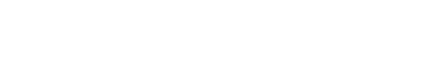 EmailFlow Pro